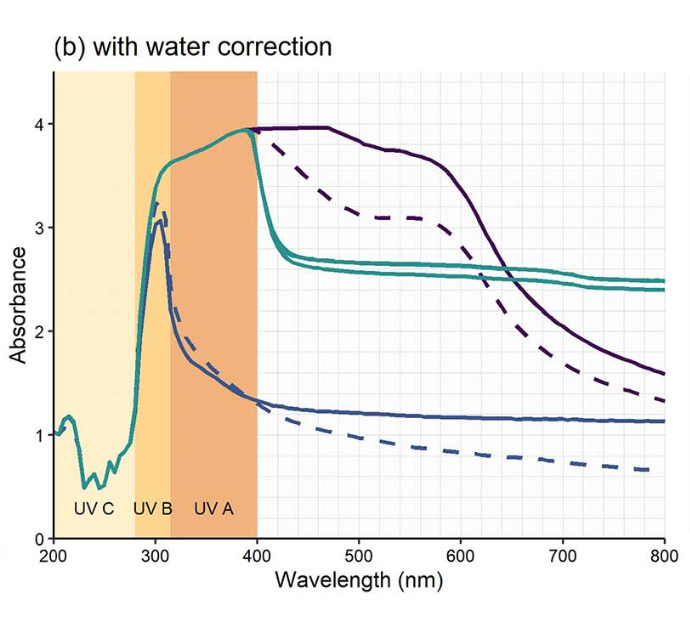 Unveiling nature's sunscreen: the potential role of liverwort scales in UV protection