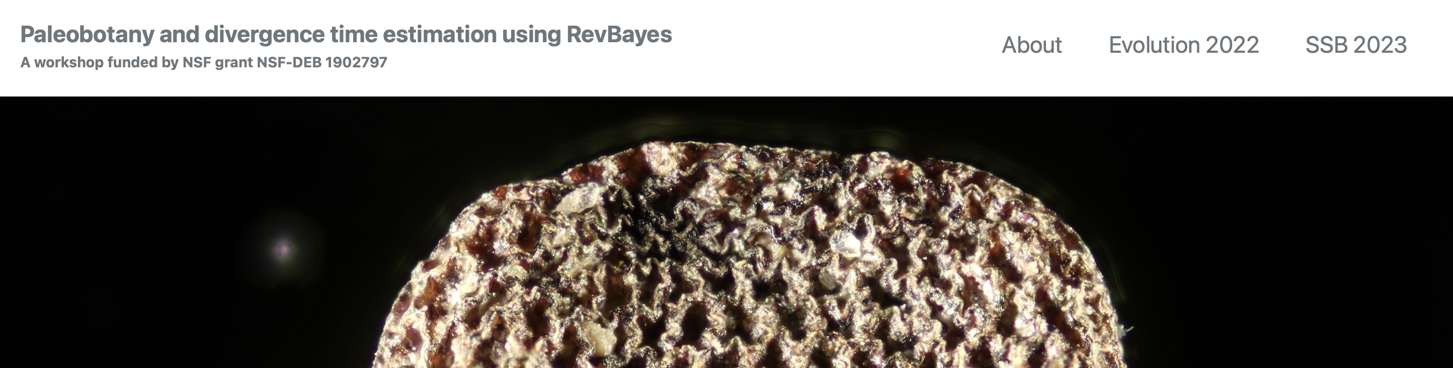 Captura de pantalla del sitio